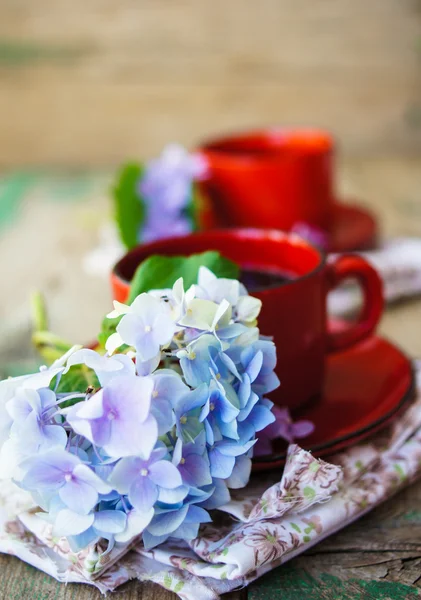 Hortensienblüten und Kaffee — Stockfoto