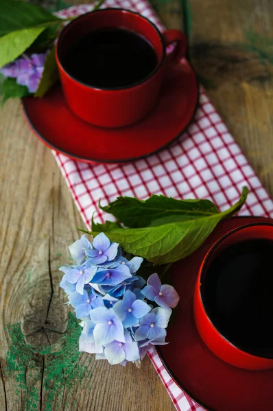 Hydrangea flowers and coffee — Stock Photo, Image