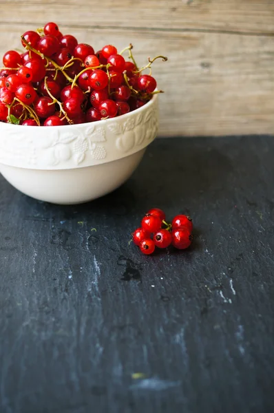 Red currant — Stock Photo, Image