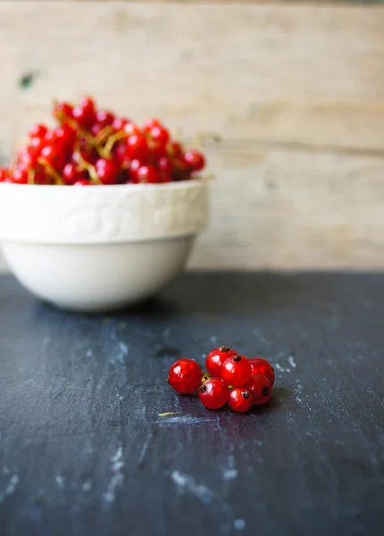 Red currant — Stock Photo, Image