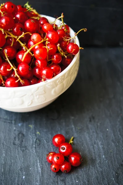 Red currant — Stock Photo, Image