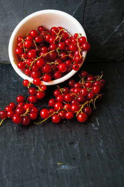 Red currant — Stock Photo, Image