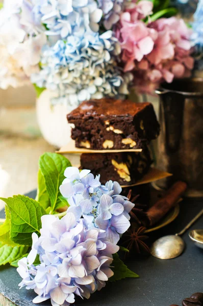 Pastel Brownie — Foto de Stock
