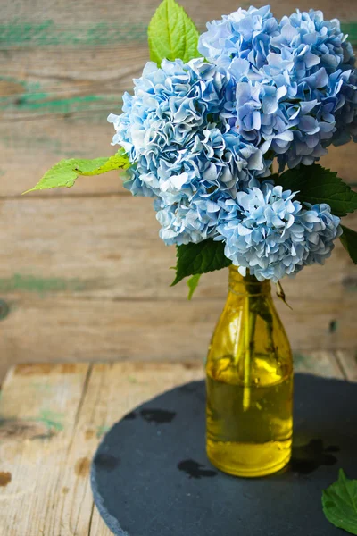 Frühlingsblumen — Stockfoto