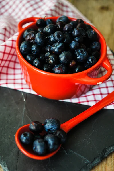 Blueberries — Stock Photo, Image