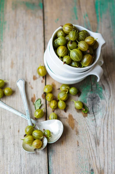 Gooseberry — Stock Photo, Image