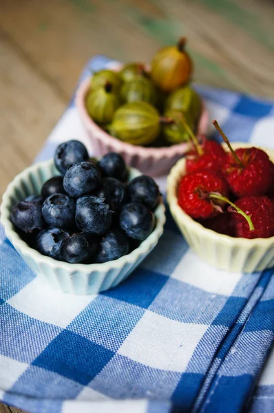 Summer berries — Stock Photo, Image