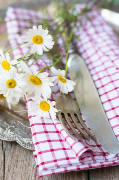 Yaz aylarında Tablo ayarı — Stok fotoğraf