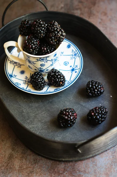 Blackberry fruits in the cup — Stock Photo, Image