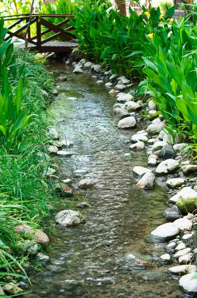 Τροπικό κήπο creek — Φωτογραφία Αρχείου