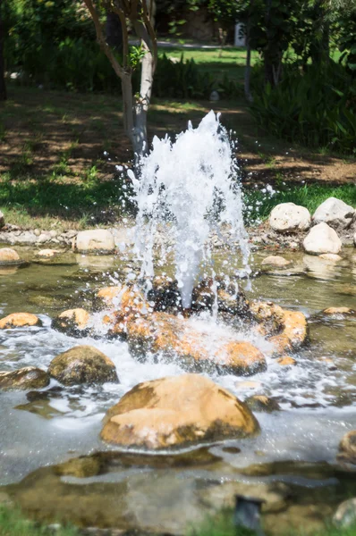 Τροπικό κήπο creek — Φωτογραφία Αρχείου