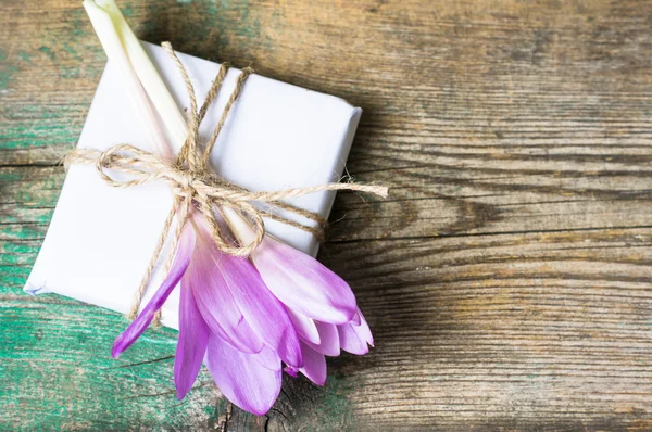 Crocuses on the rustic background — Stock Photo, Image