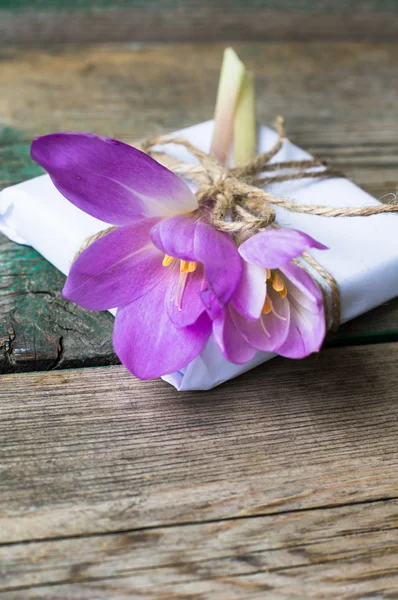 Crocuses on the rustic background — Stock Photo, Image