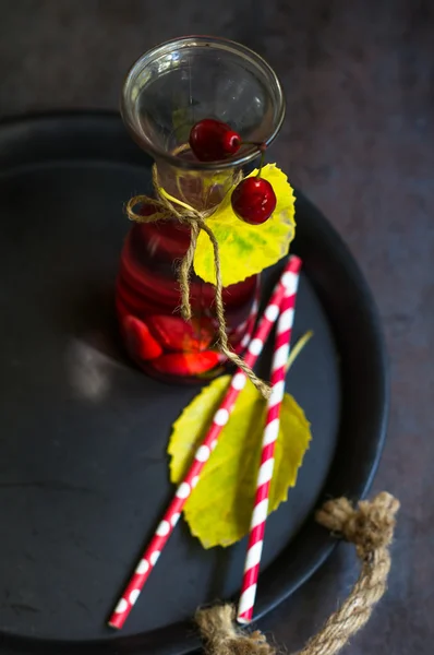 Red Dogwood berries — Stock Photo, Image