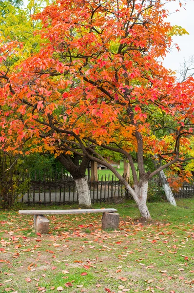 Jesienny park ława — Zdjęcie stockowe