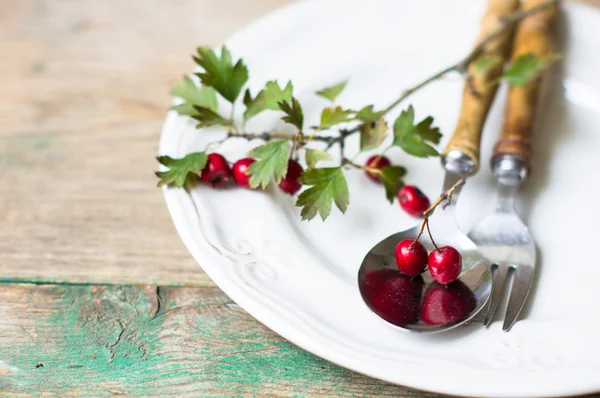 Autumnal table setting — Stock Photo, Image