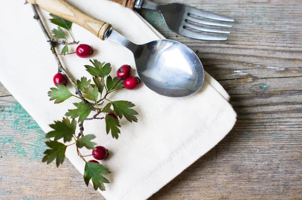 Autumnal table setting — Stock Photo, Image