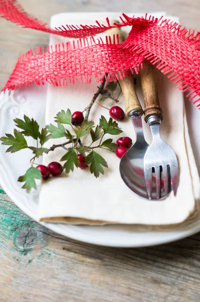 Ajuste de mesa otoño — Foto de Stock