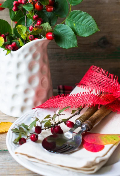 Autumnal table setting — Stock Photo, Image