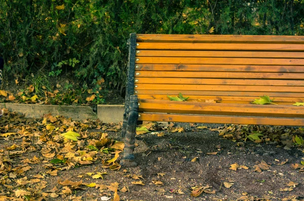 Скамейка в осеннем парке — стоковое фото