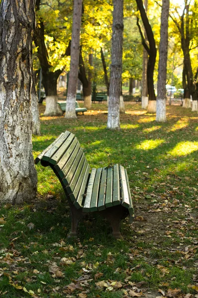 Bänk i höstlig parken — Stockfoto