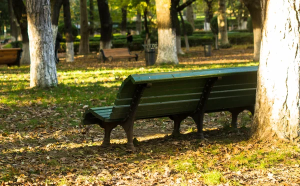 Bänk i höstlig parken — Stockfoto