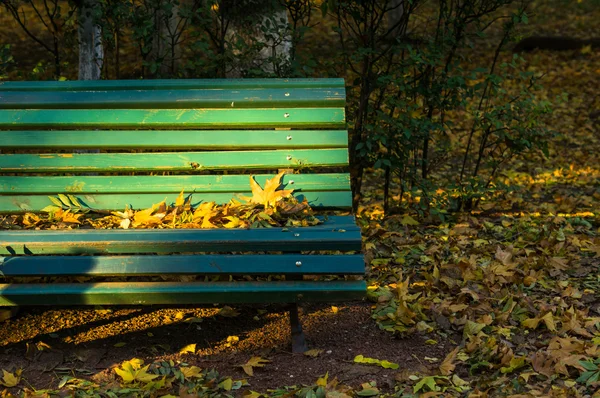 Ławka w parku jesienny — Zdjęcie stockowe