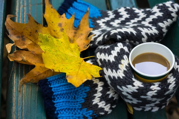 Café de otoño en el parque —  Fotos de Stock