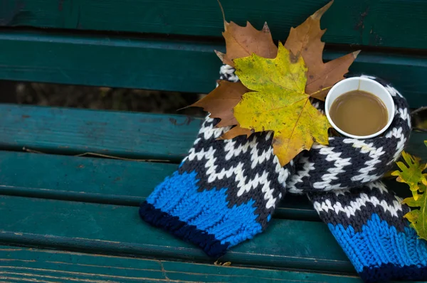 Autumnal coffee in the park — Stock Photo, Image