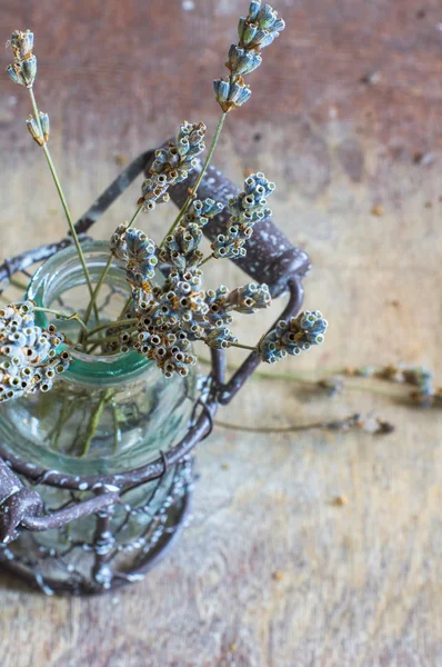 Dried lavender on rustic background — Stock Photo, Image