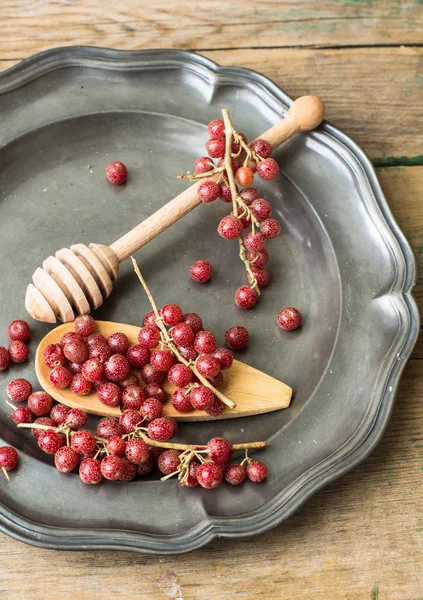 Goji berries on vintage plate — Stock Photo, Image