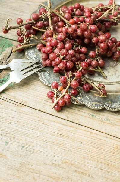 Goji berries on vintage plate — Stock Photo, Image