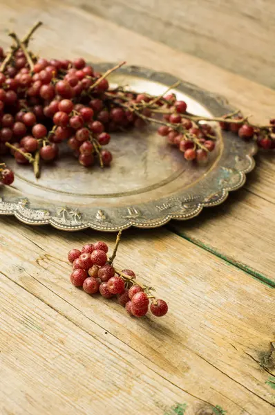 Goji berries on vintage plate — Stock Photo, Image