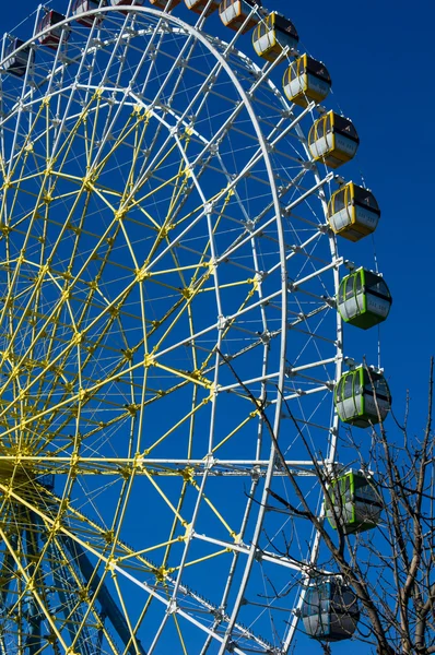 Pariserhjul i Tbilisi – stockfoto