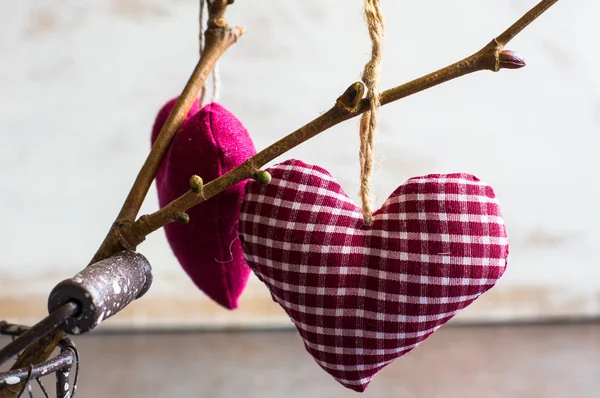 Corazones en la rama del árbol —  Fotos de Stock