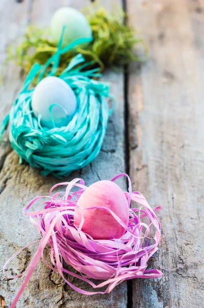 Velikonoční koncept s vejci a bunny — Stock fotografie