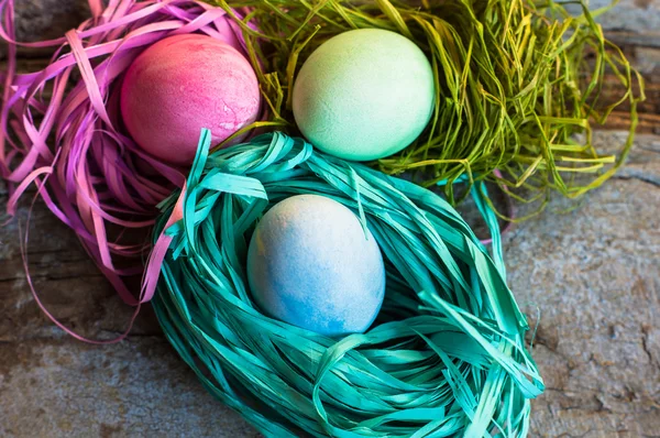 Великодня концепція з яйцями і кроликом — стокове фото