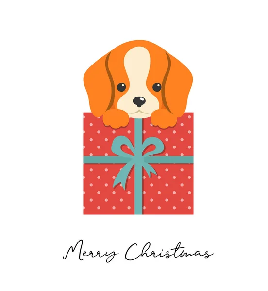 Merry Christmas puppy illustration, cute small dog with a gift box — Stock Vector