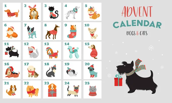 Calendario de Adviento de Navidad con perros. Cartel divertido de Navidad con cachorros, perros con ropa de invierno, accesorios de Navidad — Vector de stock