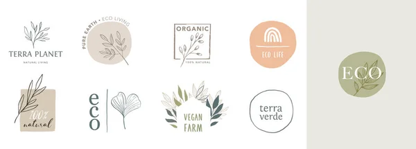 Colección de delicados logotipos e iconos dibujados a mano de alimentos ecológicos, productos frescos y naturales de granja, recogida de elementos para el mercado alimentario, promoción de productos ecológicos, vida sana y calidad superior — Archivo Imágenes Vectoriales