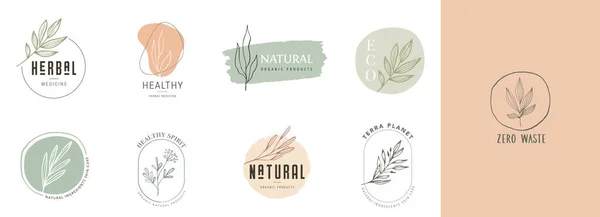 Insamling av känsliga handritade logotyper och ikoner för ekologiska livsmedel, färska och naturliga produkter från jordbruket, insamling av element för livsmedelsmarknaden, marknadsföring av ekologiska produkter, hälsosamt liv och hög kvalitet — Stock vektor