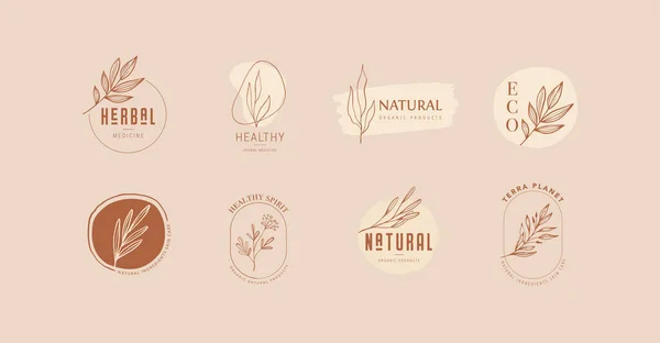 Collection of delicate hand drawn logos and icons of organic food, farm fresh and natural products, elements collection for food market, organic products promotion, healthy life and premium quality — Stock Vector