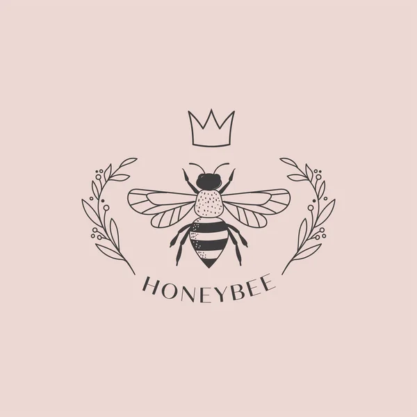 Kolekce ručně kreslené včely, organického medu, loga, znaku, etikety a obalového designu — Stockový vektor