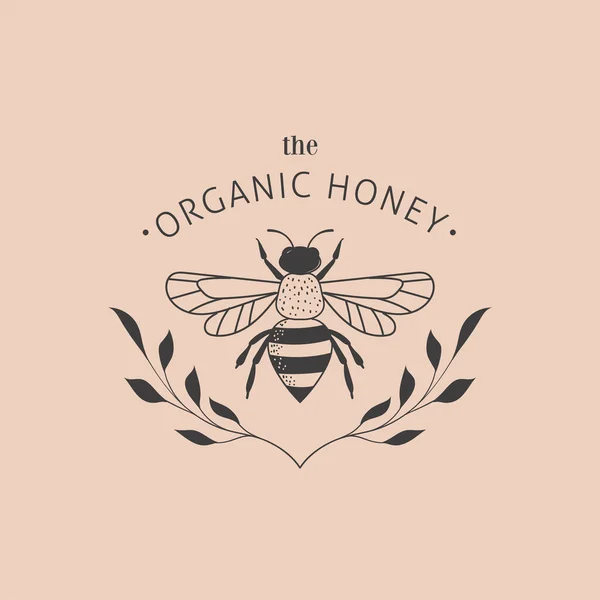 Collection of hand drawn bee, organic honey, logo, emblem, label and packaging design — Stock Vector