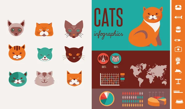 Infografías de gatos con iconos establecidos —  Fotos de Stock