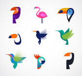 tropische Vögel - eine Reihe von Vektorsymbolen