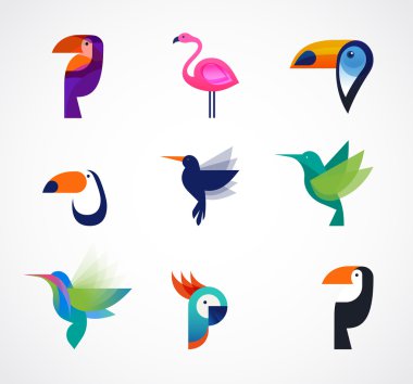 Tropical birds - set of vector icons clipart