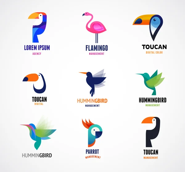 Aves tropicales - conjunto de iconos vectoriales — Vector de stock