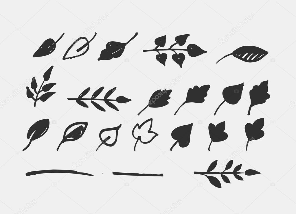 Set of hand drawn leaves shapes, icons and elements - perfect for logos, invites and kids design. Vector illustration