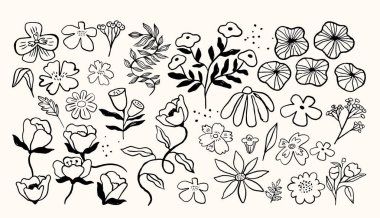 Klasik çiçek karalamaları ve elle çizilmiş çiçek unsurları koleksiyonu. Retro vektör illüstrasyonu.